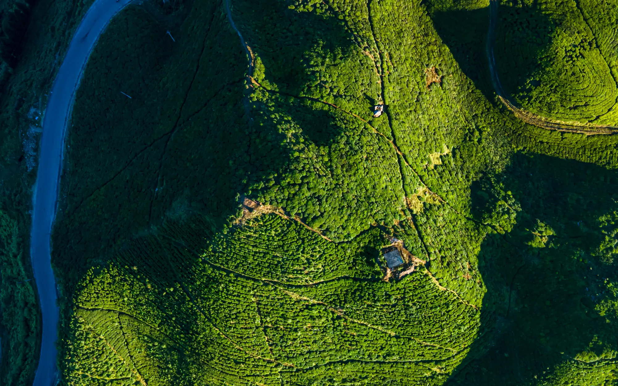 aerial-view-of-greenery-tear-farmland-2024-06-10-22-34-47-utc