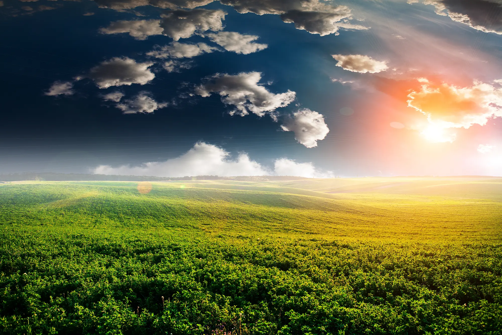 green-field-and-beautiful-sunset-2026-01-09-15-08-22-utc (1)